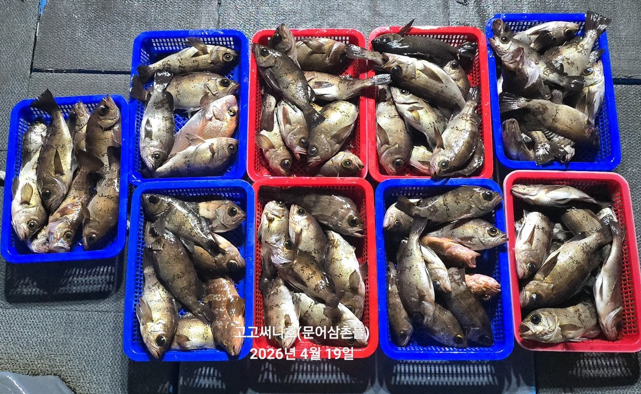 ����ڰ� �ø� �̹���