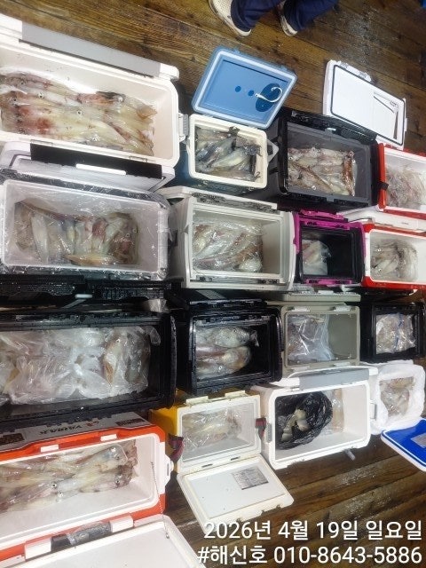 ����ڰ� �ø� �̹���