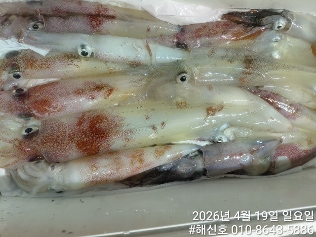 ����ڰ� �ø� �̹���