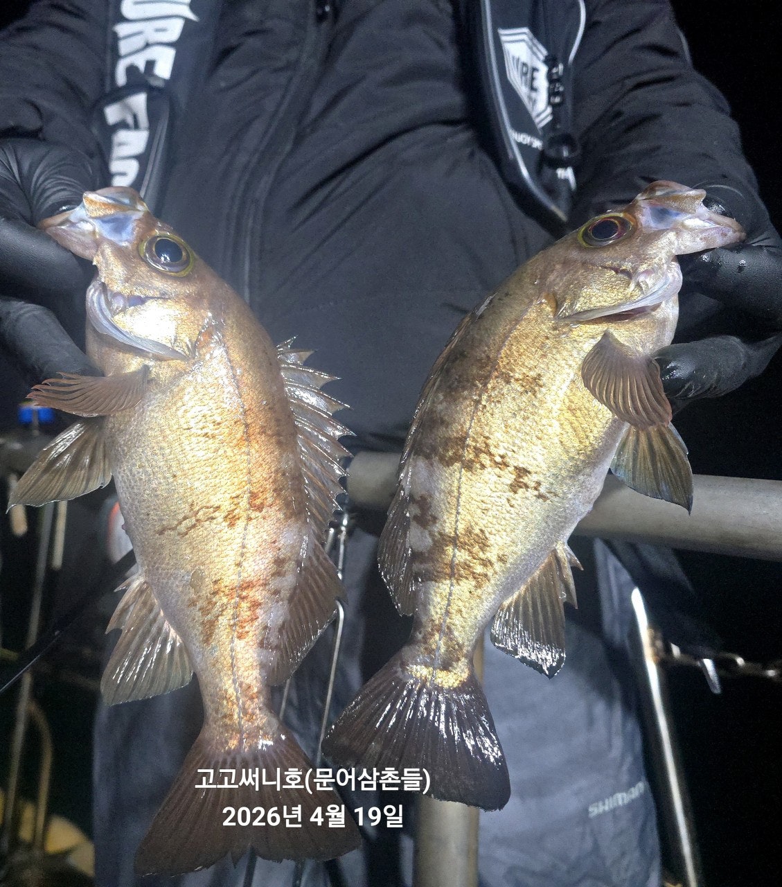 ����ڰ� �ø� �̹���