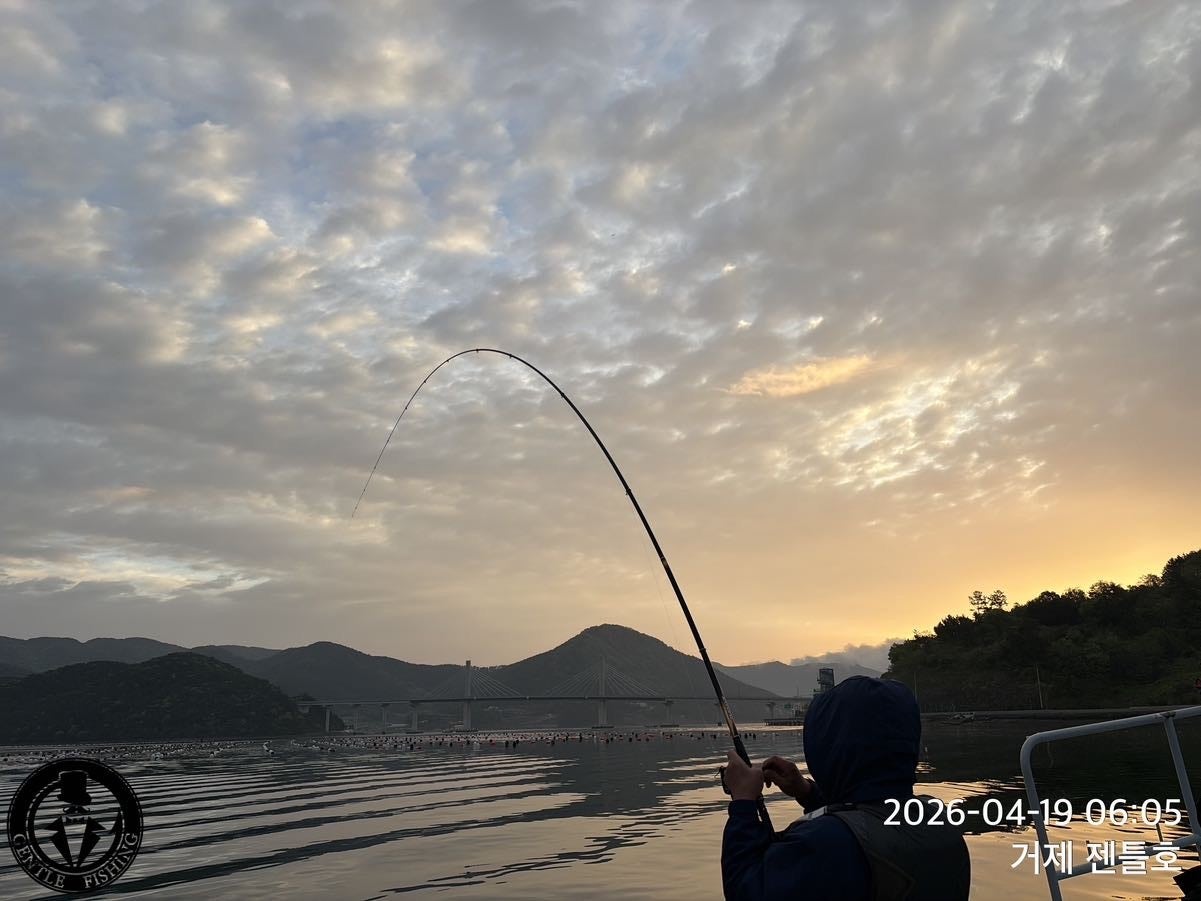 ����ڰ� �ø� �̹���