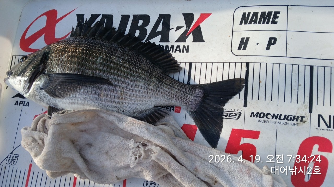 ����ڰ� �ø� �̹���