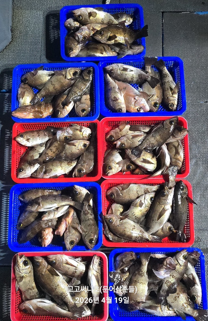 ����ڰ� �ø� �̹���