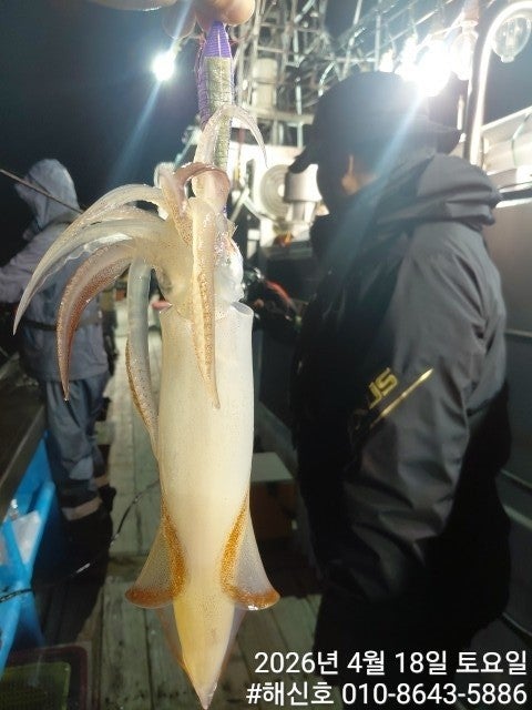 ����ڰ� �ø� �̹���