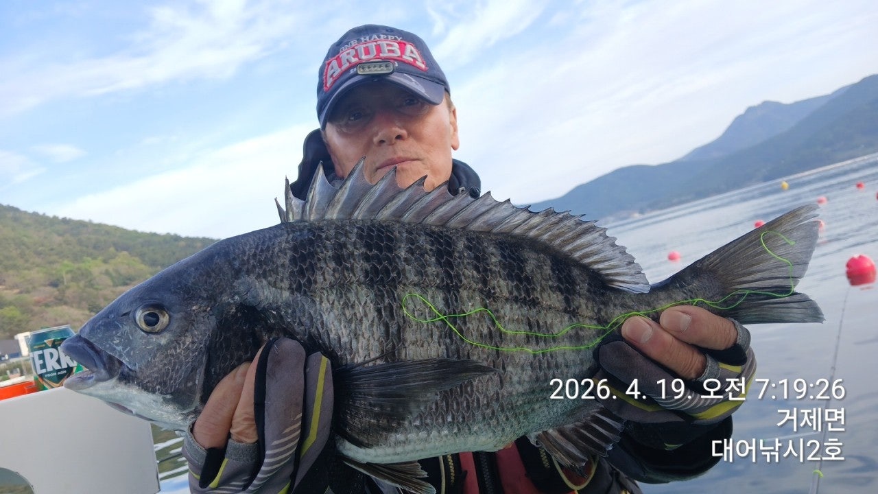 ����ڰ� �ø� �̹���