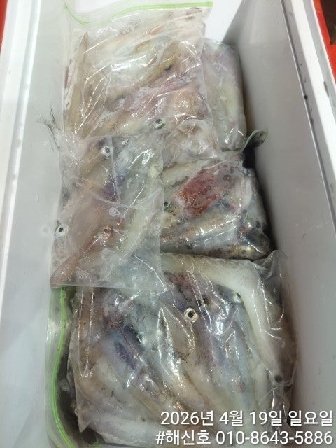 ����ڰ� �ø� �̹���