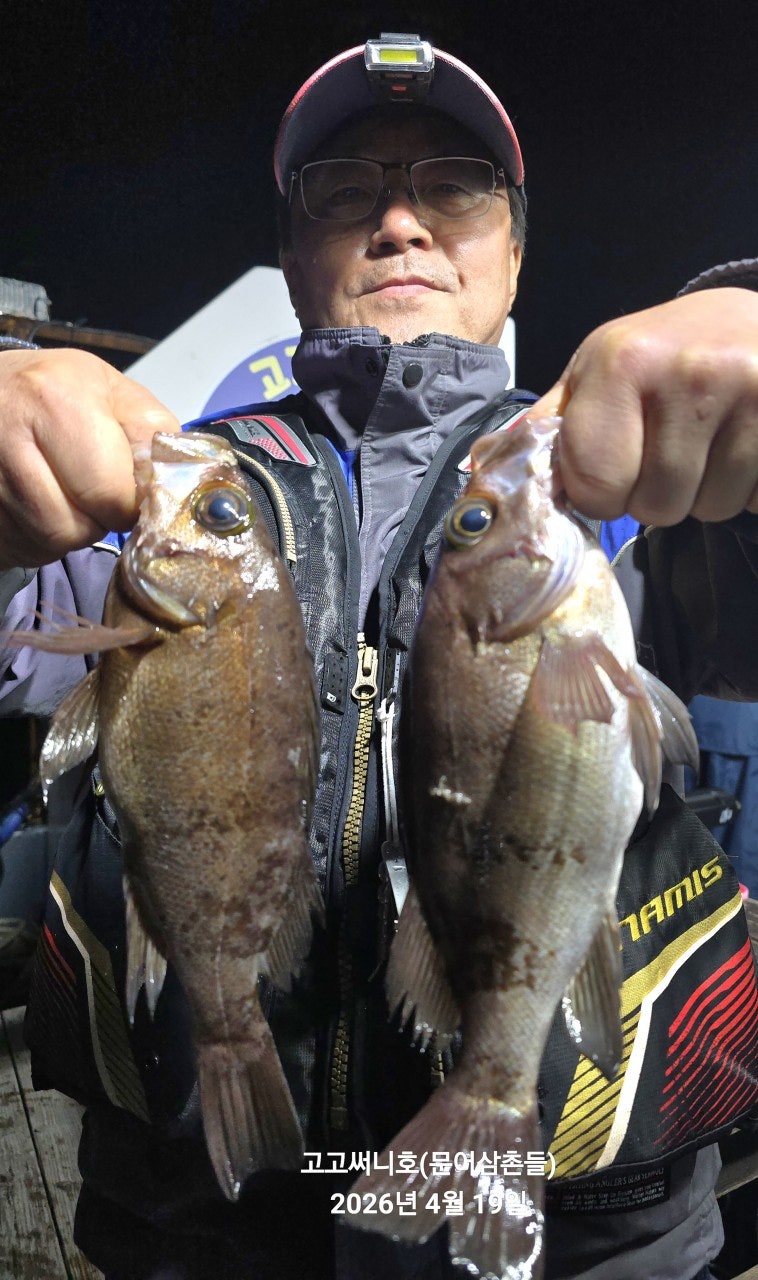 ����ڰ� �ø� �̹���