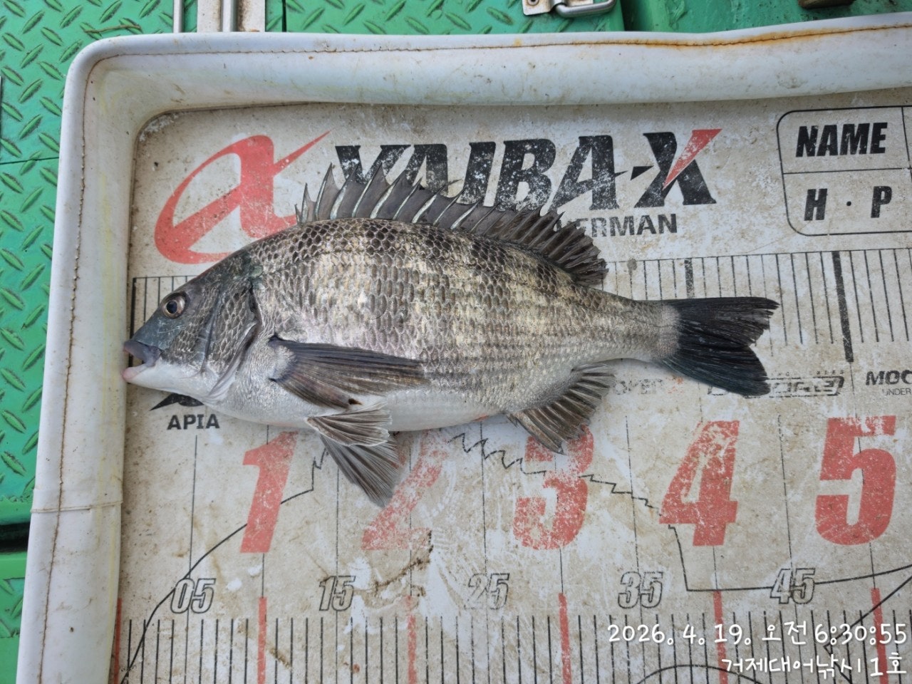 ����ڰ� �ø� �̹���