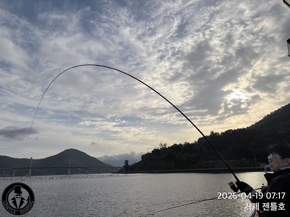 ����ڰ� �ø� �̹���