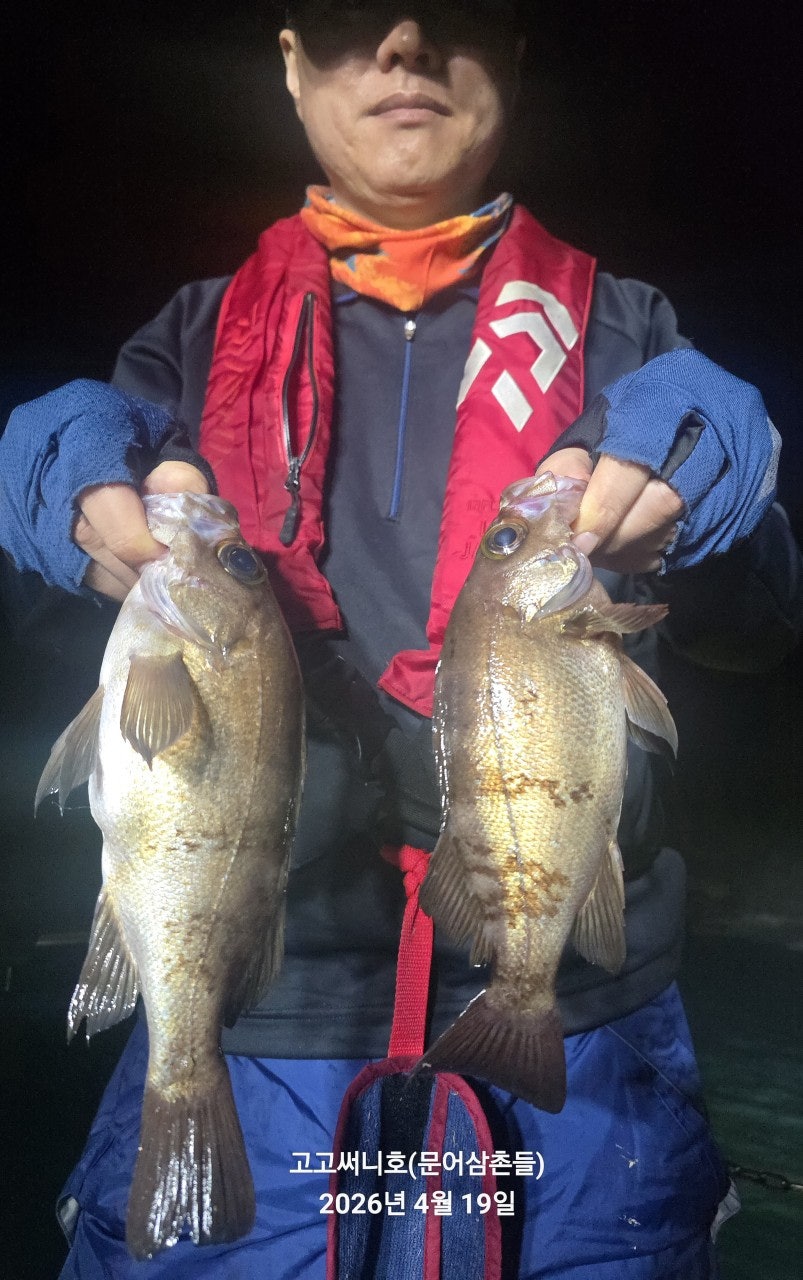 ����ڰ� �ø� �̹���