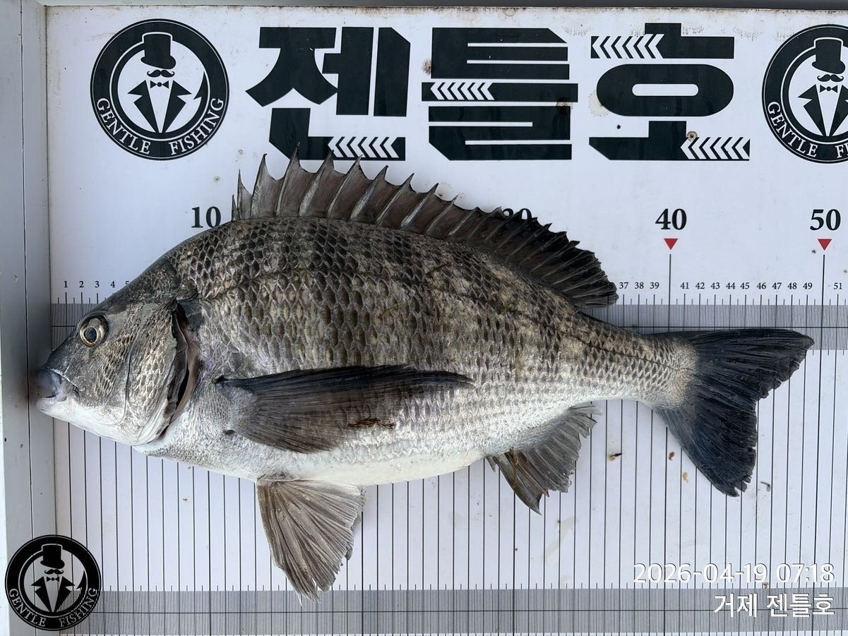 ����ڰ� �ø� �̹���