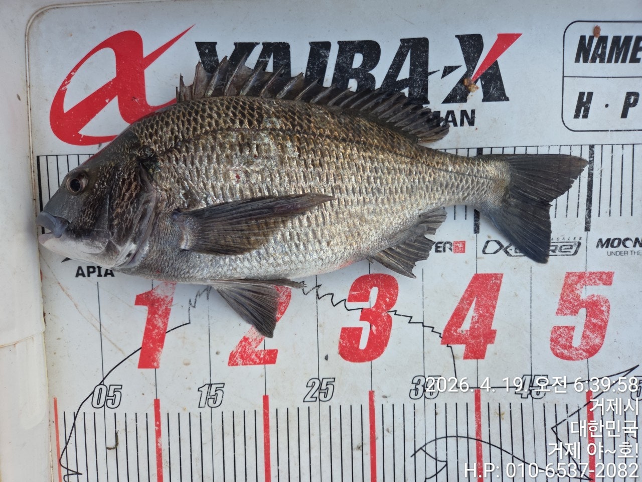 ����ڰ� �ø� �̹���