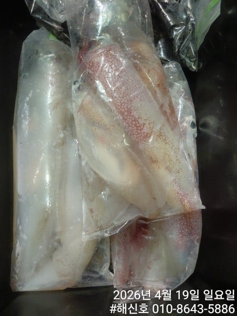 ����ڰ� �ø� �̹���