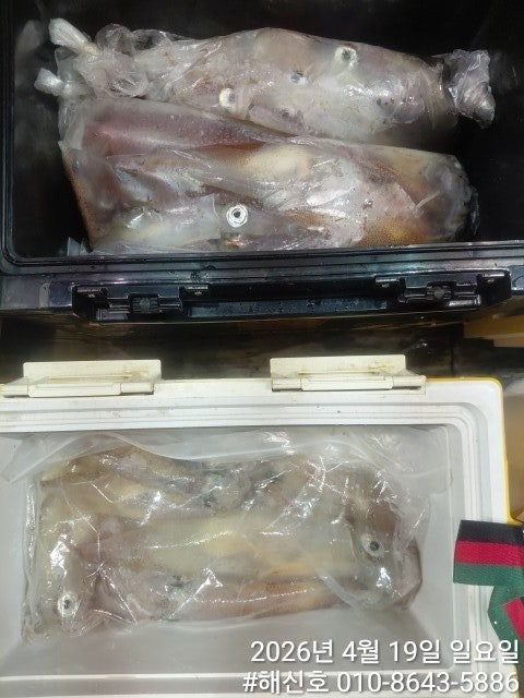 ����ڰ� �ø� �̹���