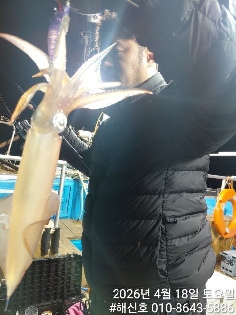 ����ڰ� �ø� �̹���