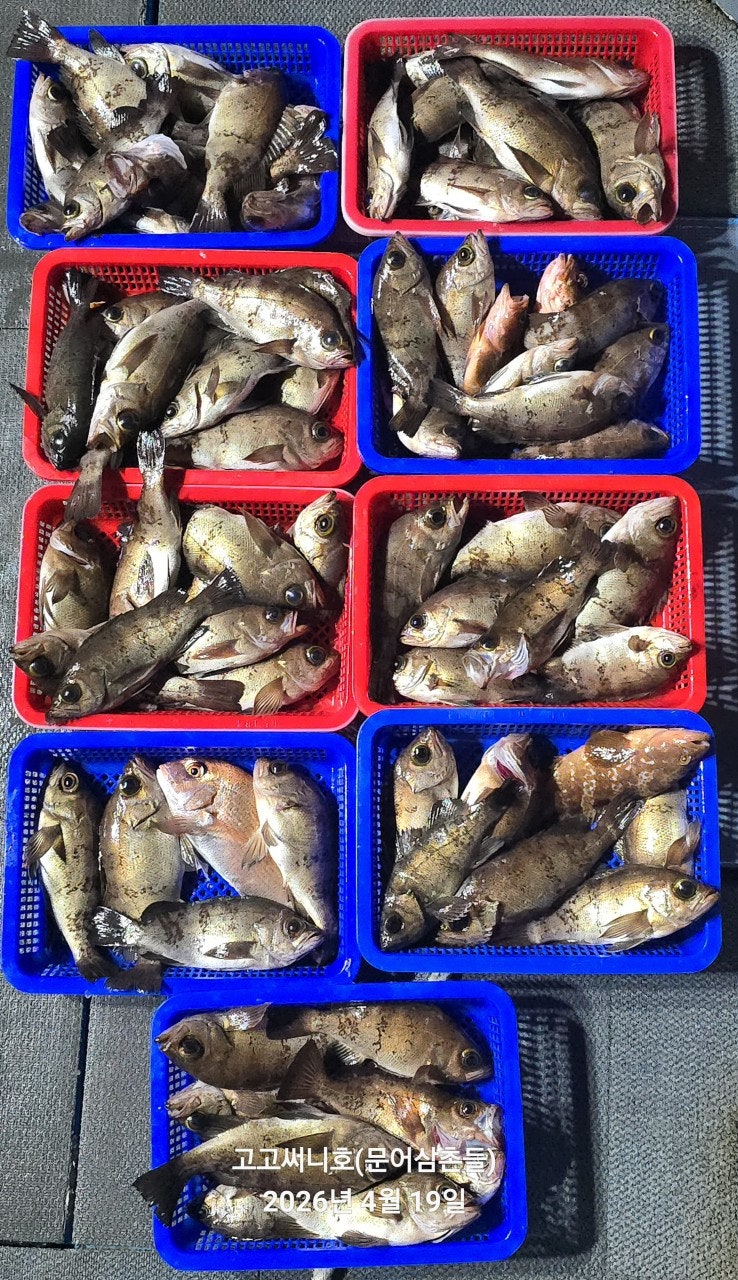 ����ڰ� �ø� �̹���