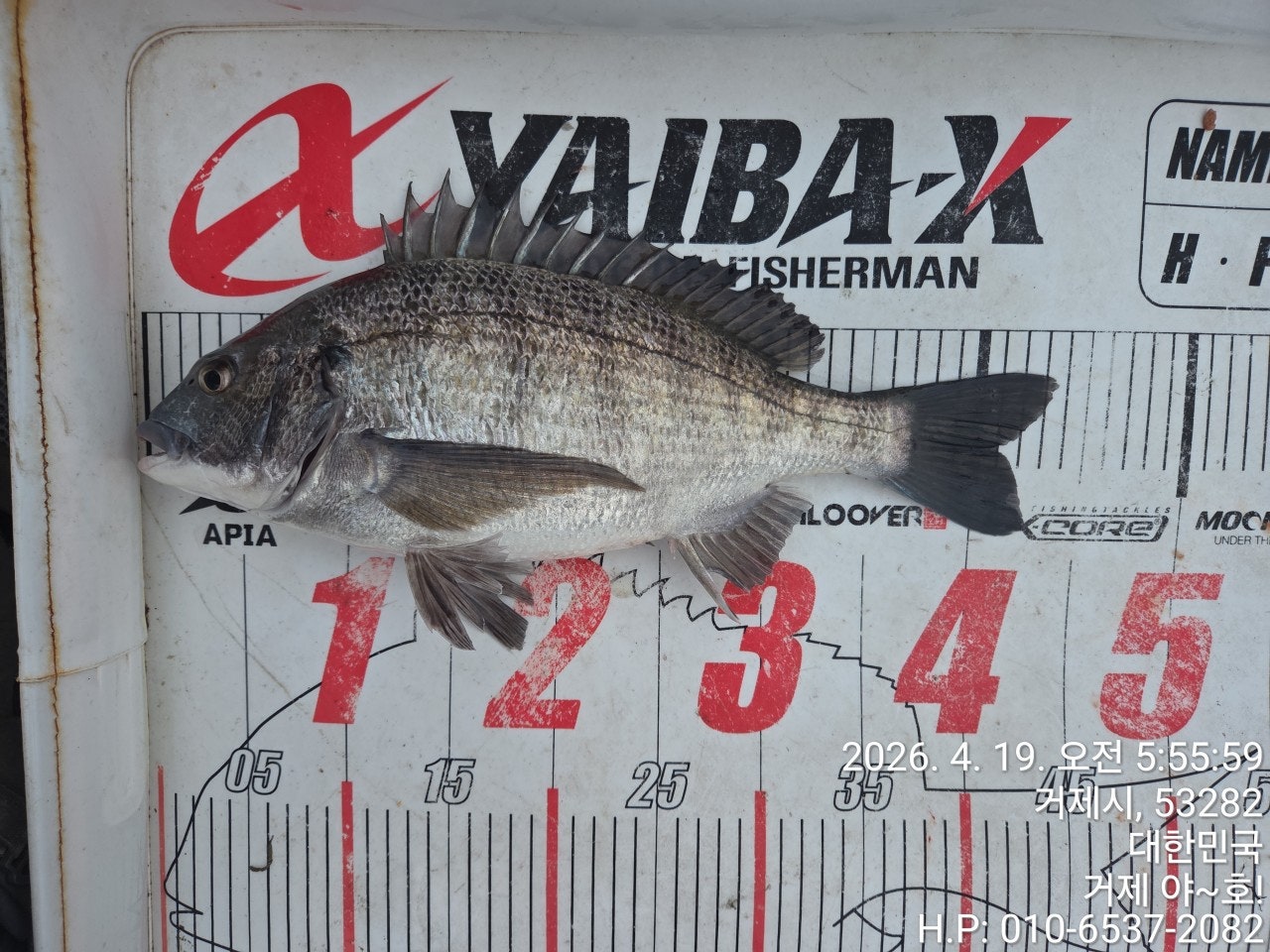 ����ڰ� �ø� �̹���