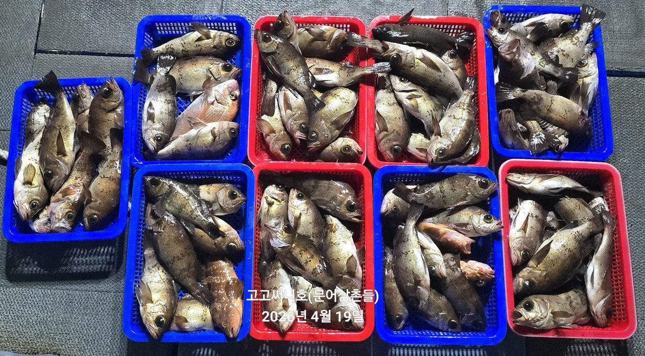 ����ڰ� �ø� �̹���