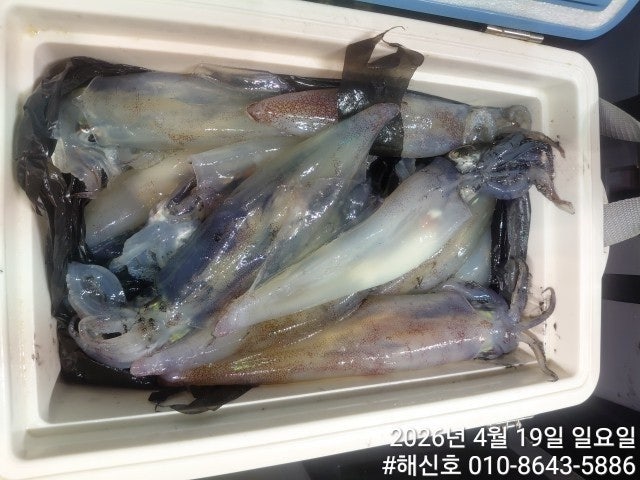 ����ڰ� �ø� �̹���