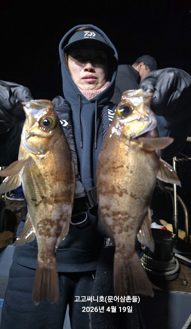 ����ڰ� �ø� �̹���