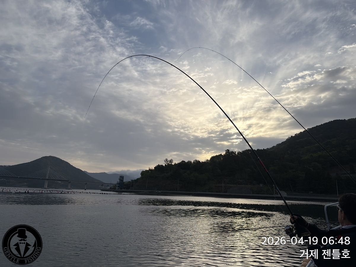 ����ڰ� �ø� �̹���