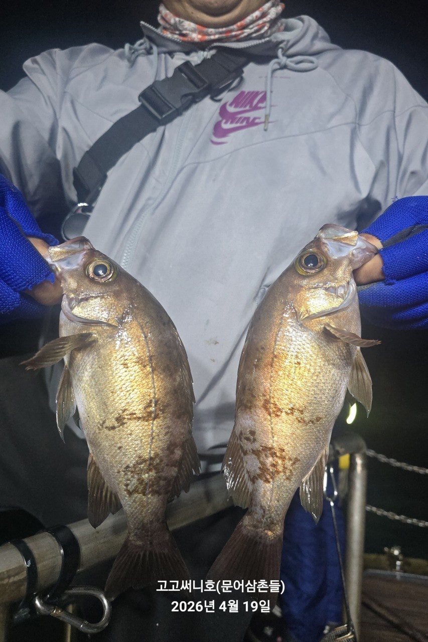 ����ڰ� �ø� �̹���