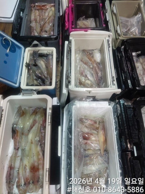 ����ڰ� �ø� �̹���