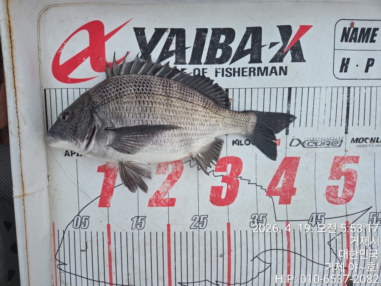 ����ڰ� �ø� �̹���