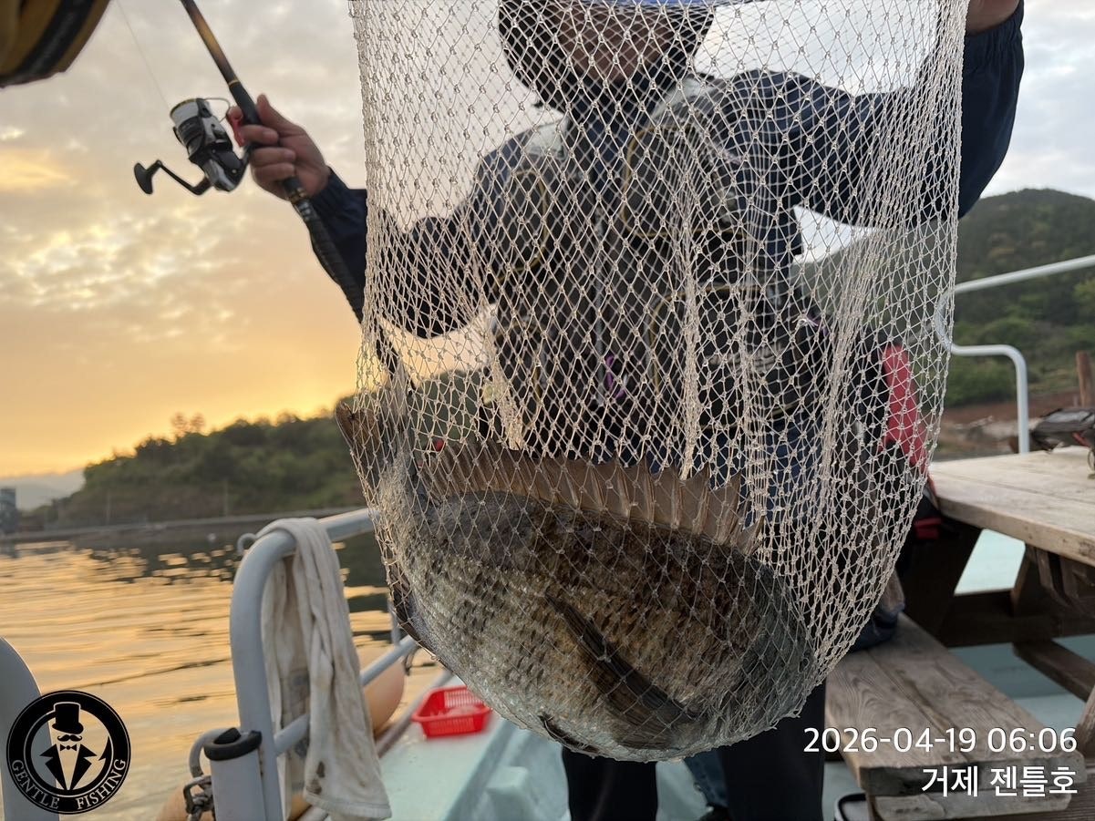 ����ڰ� �ø� �̹���