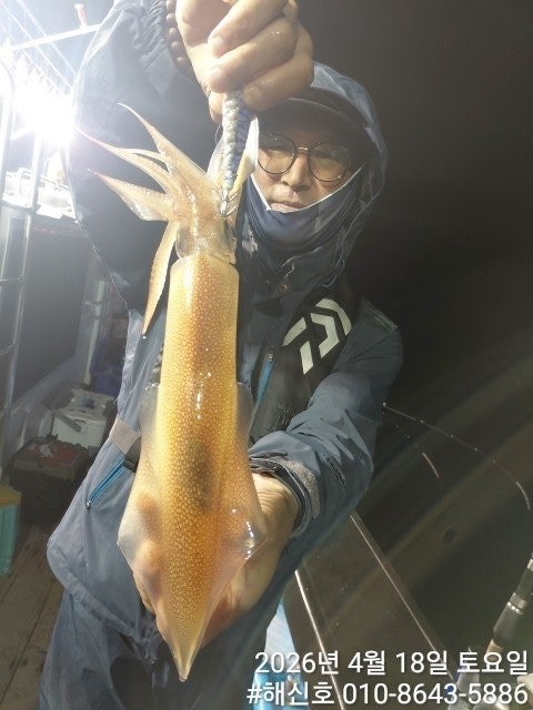 ����ڰ� �ø� �̹���