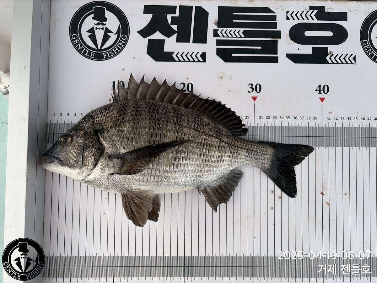 ����ڰ� �ø� �̹���