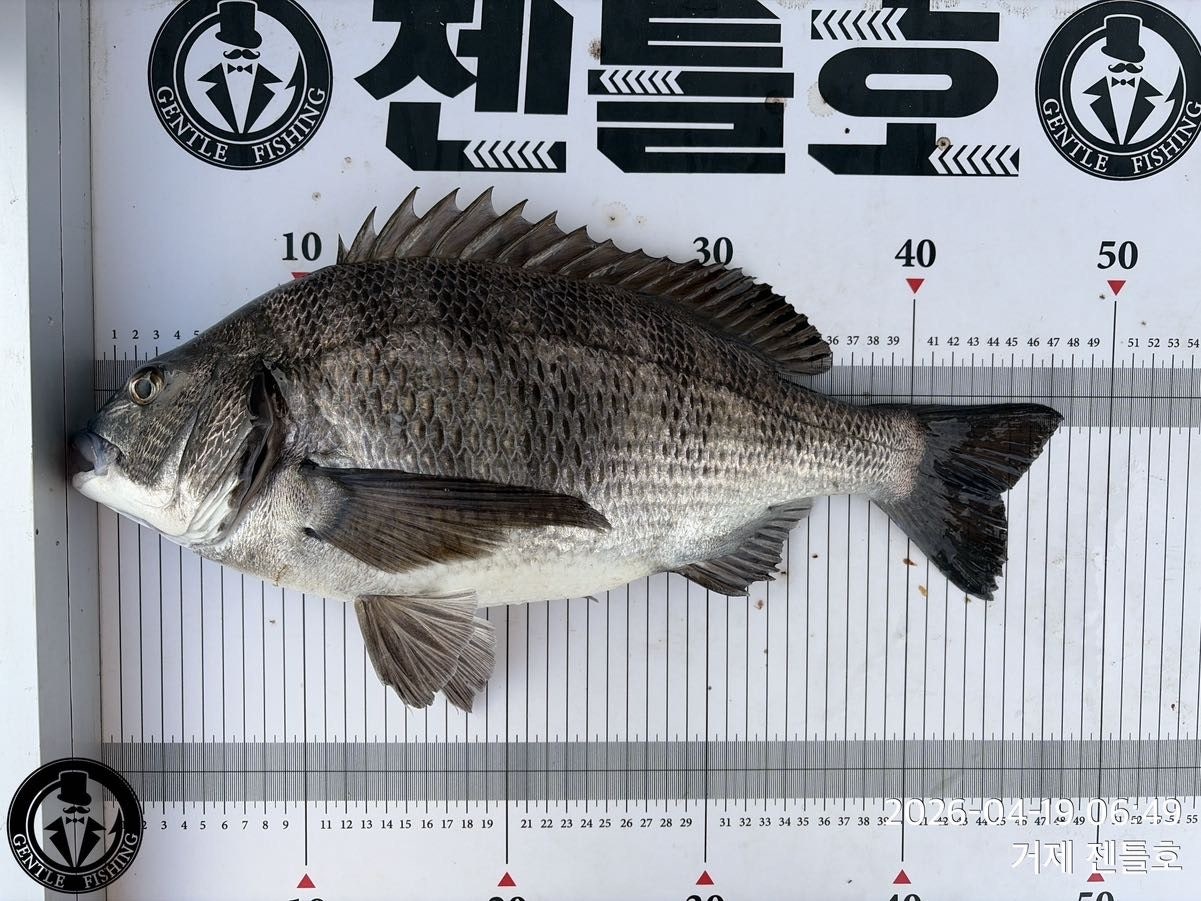 ����ڰ� �ø� �̹���