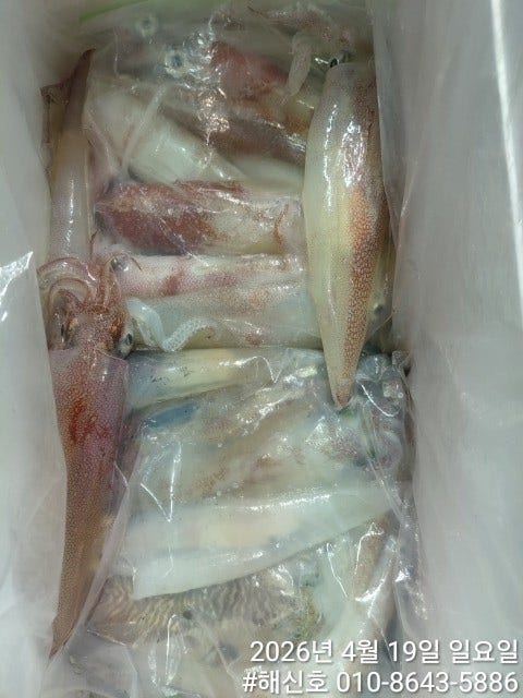 ����ڰ� �ø� �̹���