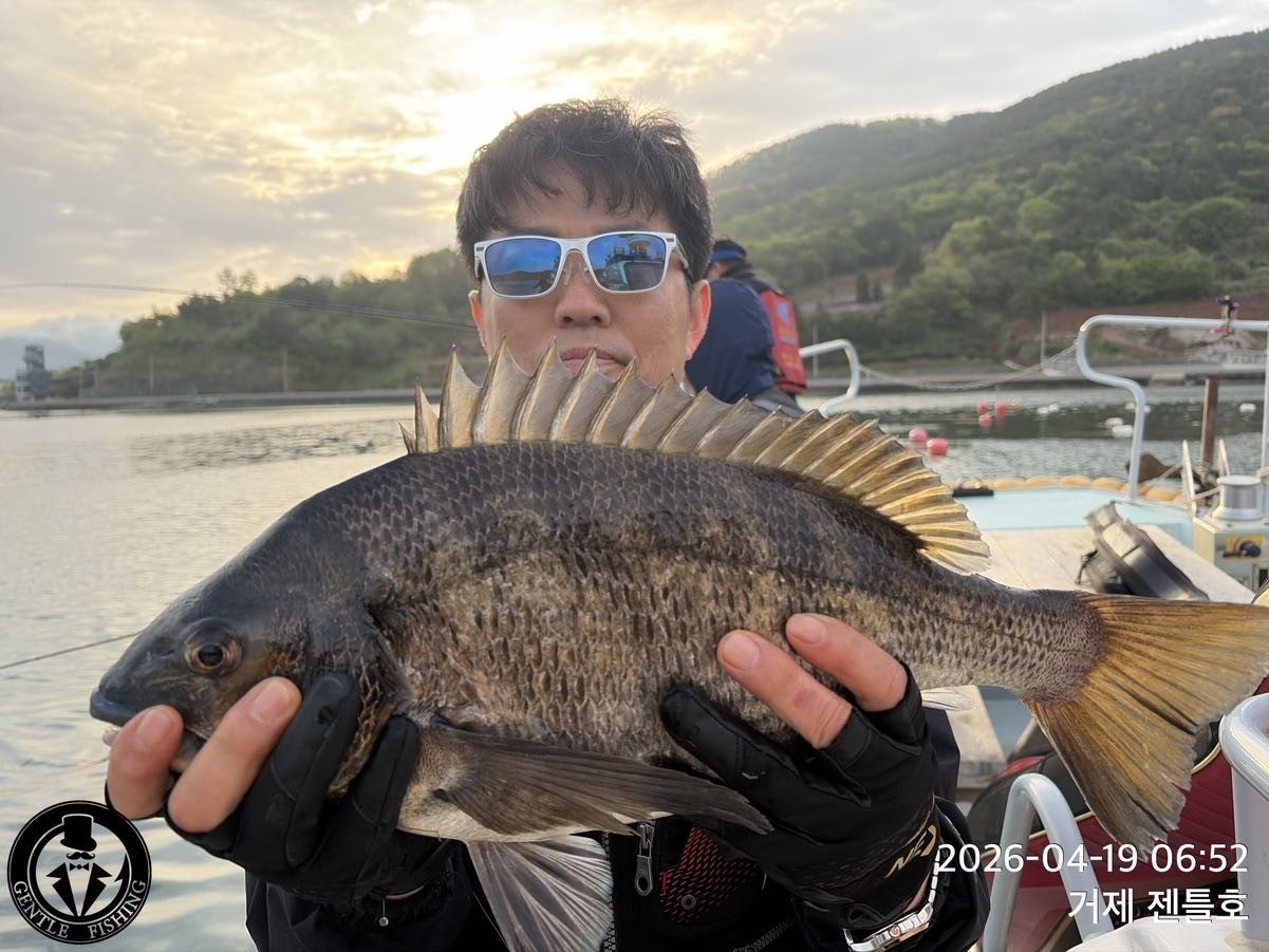 ����ڰ� �ø� �̹���