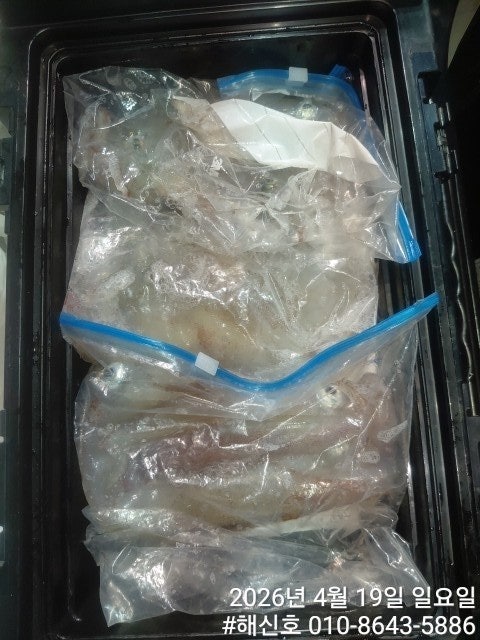 ����ڰ� �ø� �̹���