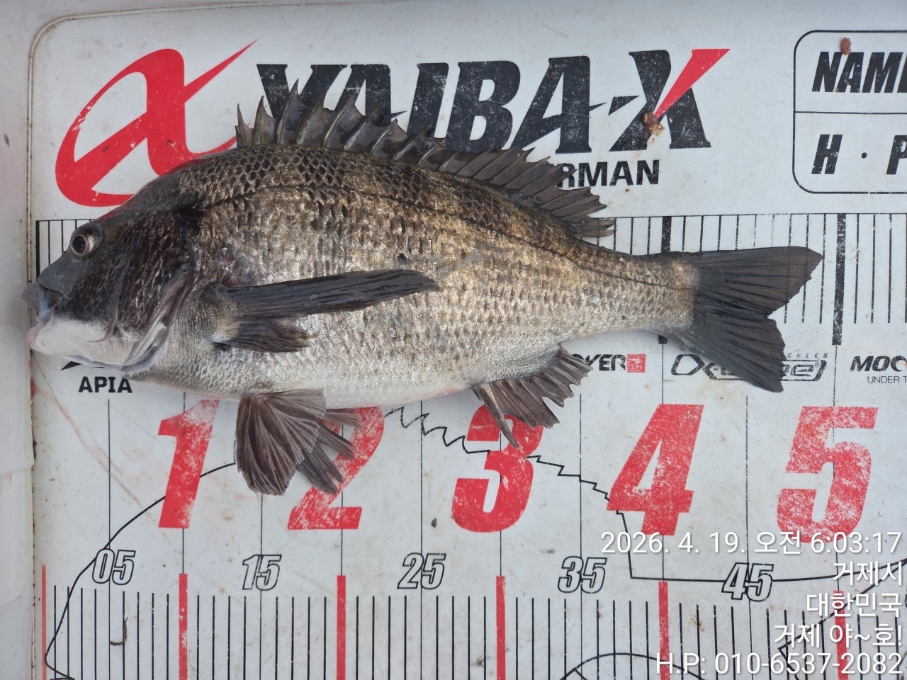 ����ڰ� �ø� �̹���