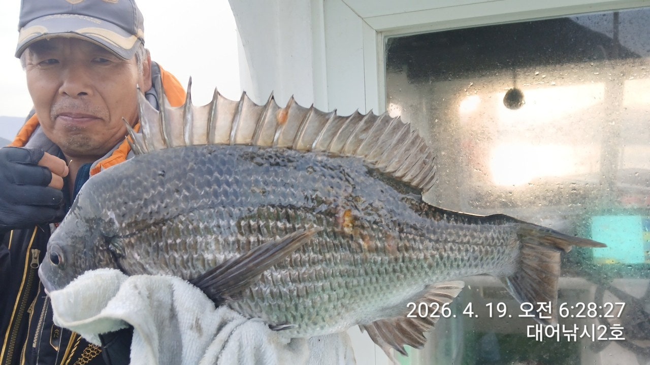 ����ڰ� �ø� �̹���