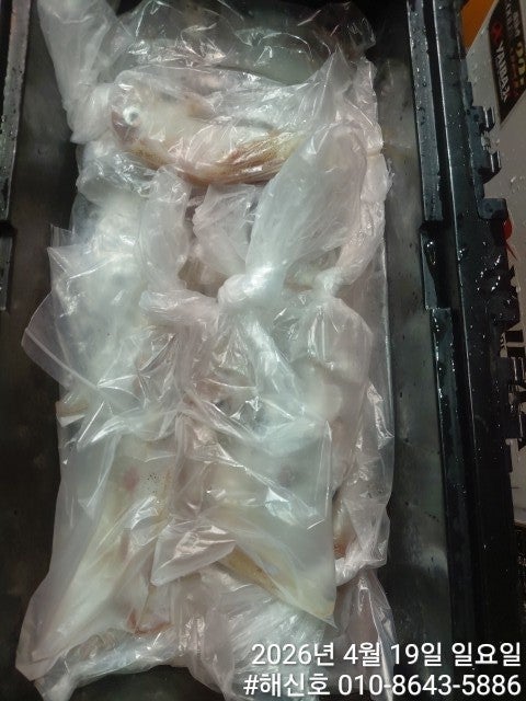 ����ڰ� �ø� �̹���