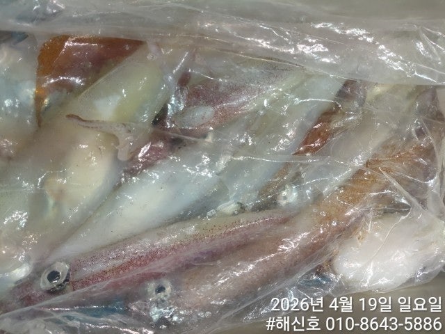 ����ڰ� �ø� �̹���