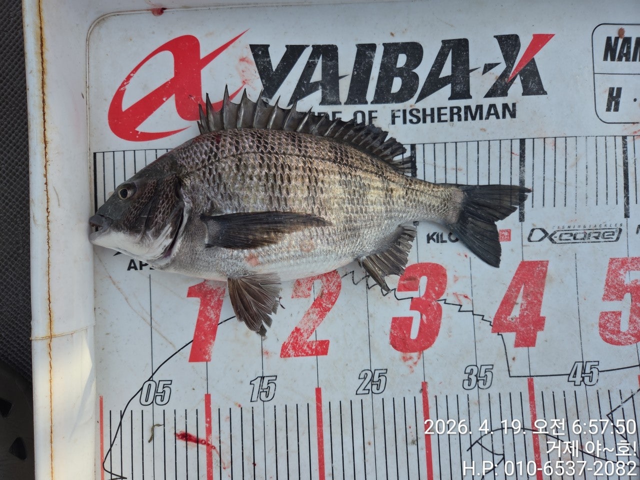 ����ڰ� �ø� �̹���