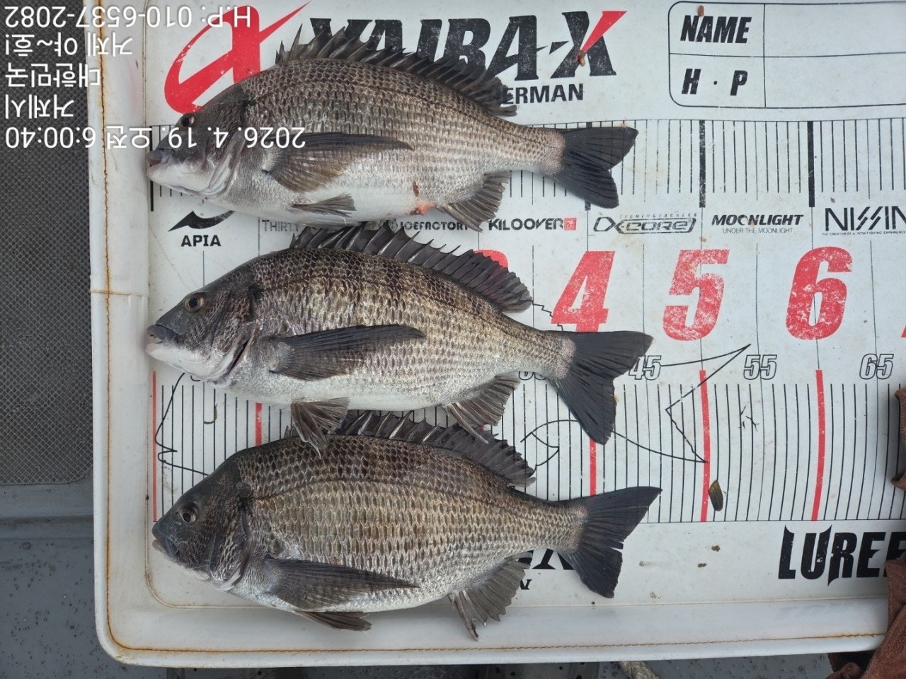 ����ڰ� �ø� �̹���