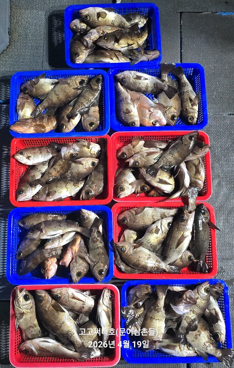 ����ڰ� �ø� �̹���