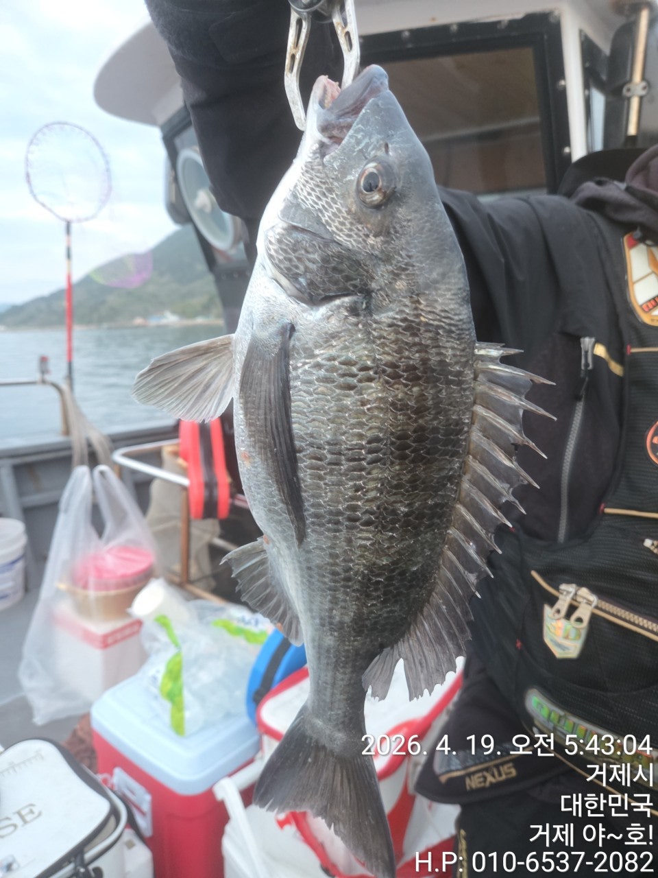 ����ڰ� �ø� �̹���