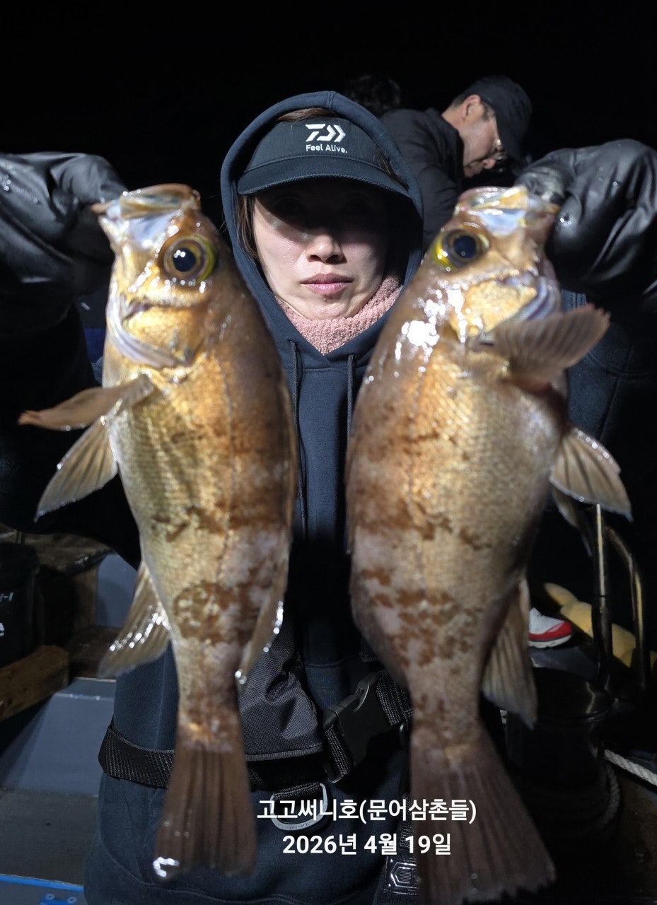 ����ڰ� �ø� �̹���