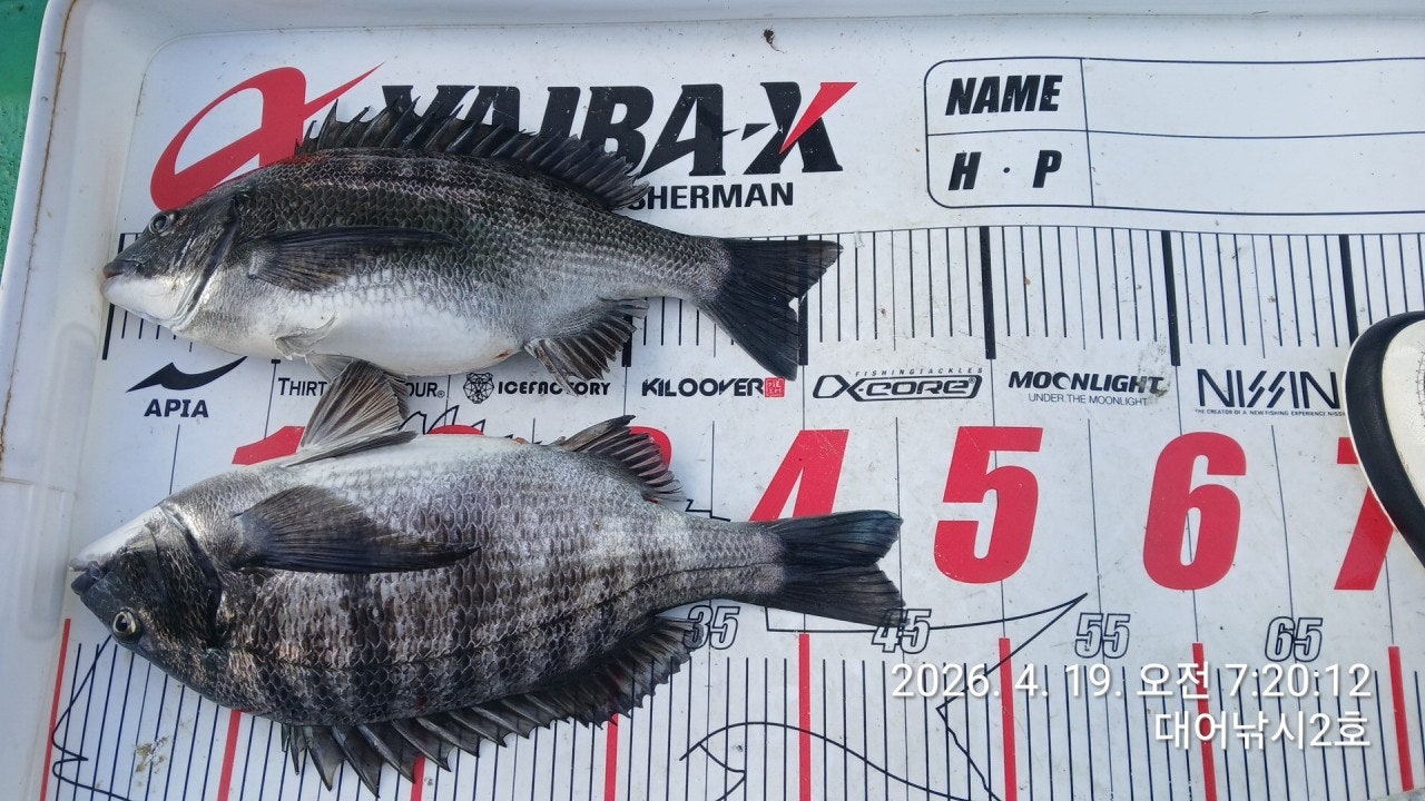 ����ڰ� �ø� �̹���