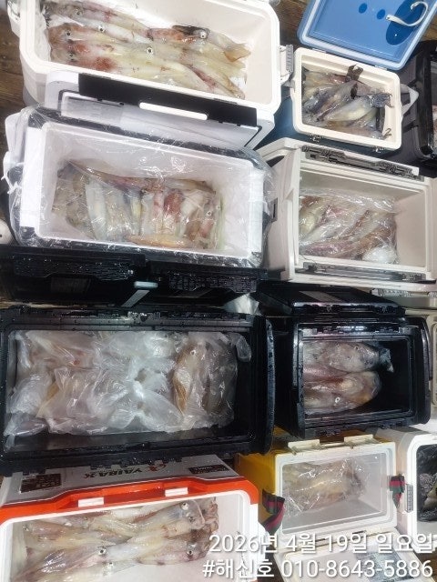 ����ڰ� �ø� �̹���