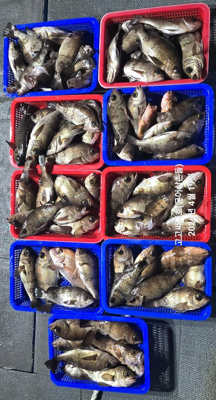 ����ڰ� �ø� �̹���