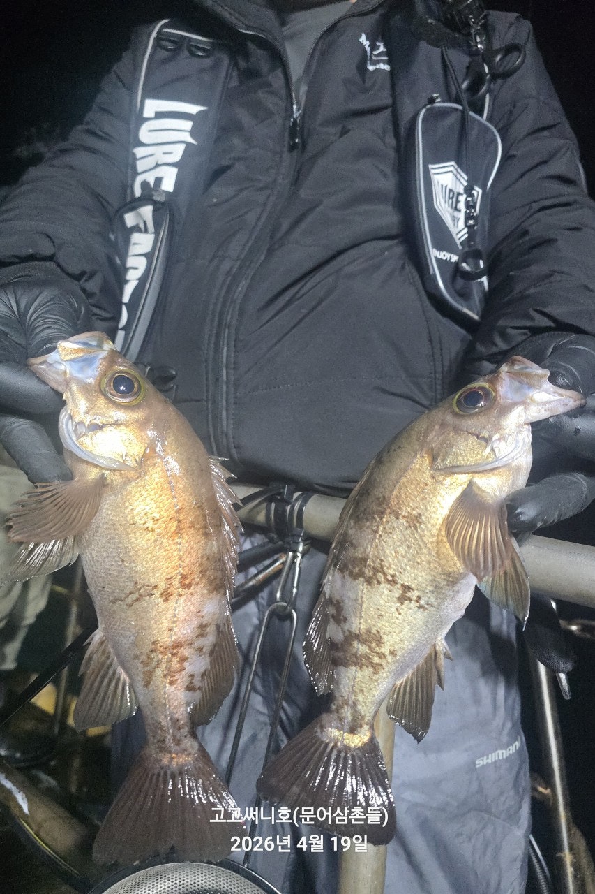 ����ڰ� �ø� �̹���