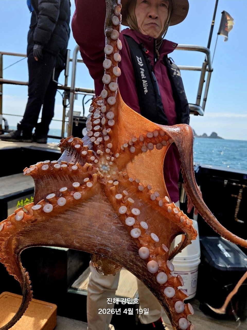 ����ڰ� �ø� �̹���