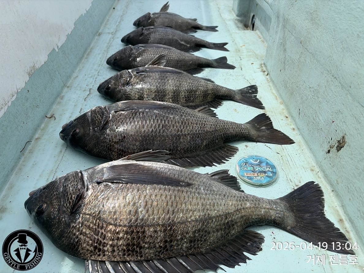 ����ڰ� �ø� �̹���